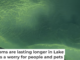 A satellite image from Aug. 13, 2024, shows an algal bloom covering approximately 320 square miles (830 square km) of Lake Erie. By Aug. 22, it had nearly doubled in size. NASA Earth Observatory